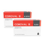 Sued & Fargesa » Coroval B